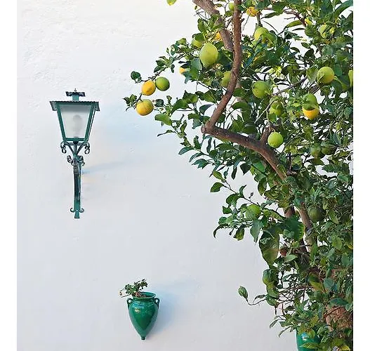 招待所 香格里拉波萨达旅馆